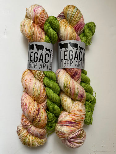 Skipping Rhinebeck Sock Set